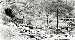 Dawson Explosion, February 8, 1923, Carol and Dwight Myers Collection, NMSU