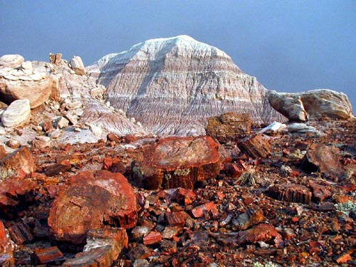 Petrified Forest east of