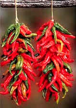 Chili Ristra