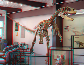 Allosaurus, on display in the Dinosaur Quarry Visitor Center.