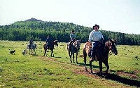 Horse Back Rides
