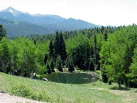 Mueller State Park
