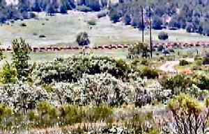 GardinerCokeOvens.Weiser.07-03.jpg (297x188 -- 56935 bytes)