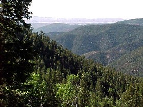 Gila National Forest in New Mexico.