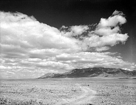 New Mexico Plains