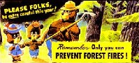 Prevent Forest Fires