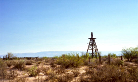 Wildy Well, 2006