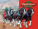 Budweiser � Clydesdales Tin Sign