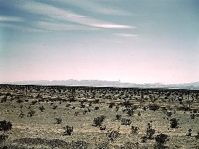 Mojave Desert, California