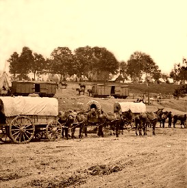 Savage Station, Virginia