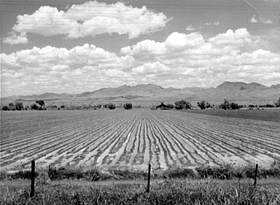 San Simon Valley, Arizona