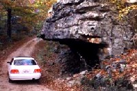 Ozark national forest