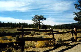 Holcomb Valley