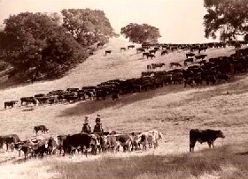 California Ranch