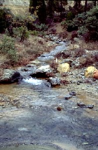Clear Creek in California