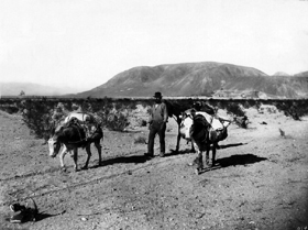 Desert Prospector in California.