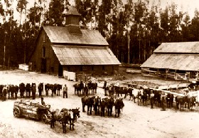 Irvine Ranch