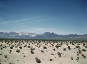 Mojave Desert