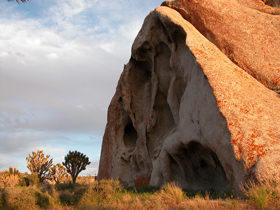 Mojave National Reserve