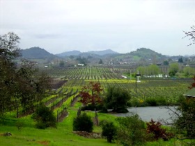Napa Valley Today