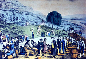 Gold Rush Diversity