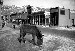 CentralCity-1935