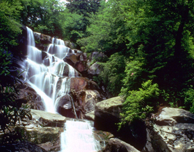 Ramsey Cascades in Smoky Mountains National Park
