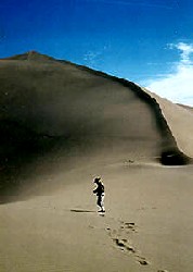 Brueneau Dunes State Park, Idaho