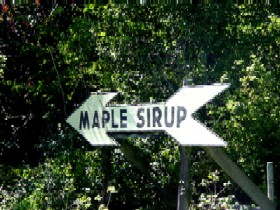 Funks Grove Maple Sirup
