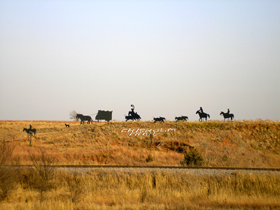 Life-sized cowboy silhouette in Caldwell, Kansas