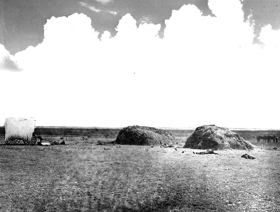 Oklahoma neutral strip