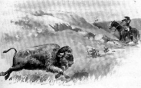 Buffalo Hunter