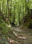 The sunken trace