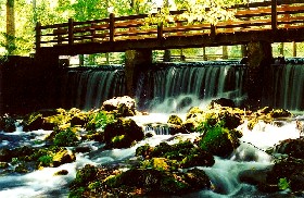 Meramec Spring in St. James, Missouri