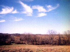 Wilson Creek Today