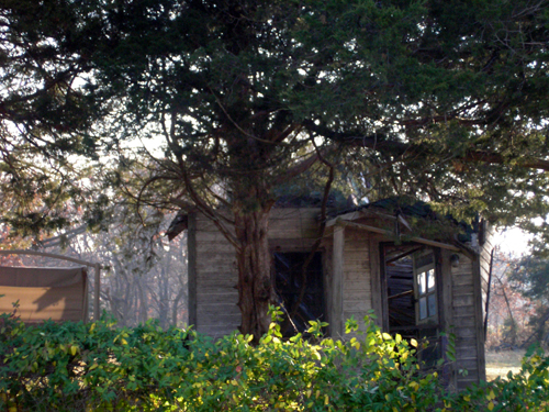 Bourbon Lodge cabin
