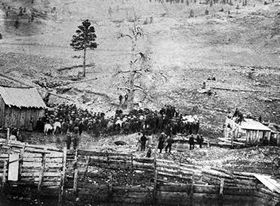 Montana Vigilantes