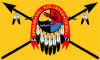 Apache Del Rio Flag