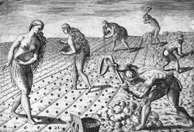 florida Indians