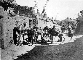 Zuni Pueblo-Pack Train