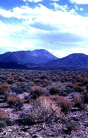 Bald Mountain in Nevada
