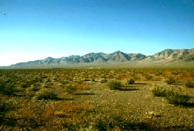 Northern Nevada Desert