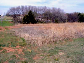 Isaac Black's grave in Alva, Oklahoma