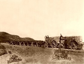 20-mule team, Death Valley, 1890