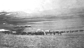 A wagon train on the Bozeman Trail, 1883.