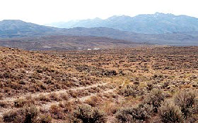 California Trail in Nevada, approaching the Sierra Nevada