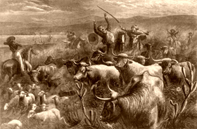 Cattle Raid