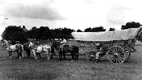 Conestoga Wagon