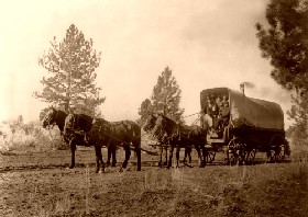Covered Wagon