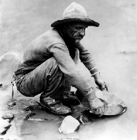 California Gold Miner